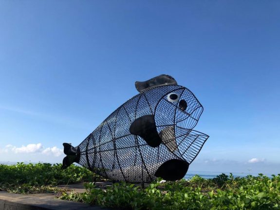 Αυτό το ψάρι σώζει τις θάλασσες από τα πλαστικά - Φωτογραφία 1