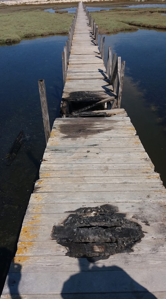 Έβαλαν φωτιά στην ξύλινη πεζογέφυρα στην ΠΕΡΑΤΙΑ - [ΦΩΤΟ] - Φωτογραφία 2