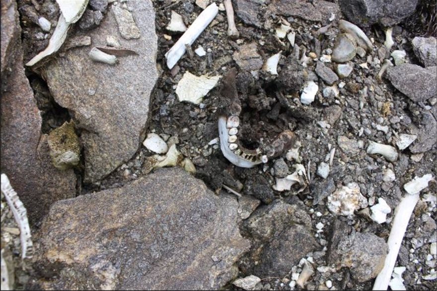 Βρήκαν «Έλληνες» στην Λίμνη των Σκελετών στα Ιμαλάια - Φωτογραφία 4