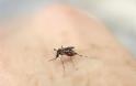 Τέσσερις νεκροί, 47 νέα κρούσματα από τον ιό Δυτ. Νείλου σε μια βδομάδα