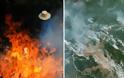 Πυρκαγιές-ρεκόρ κατακαίουν το τροπικό δάσος του Αμαζονίου