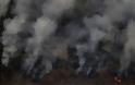 Πυρκαγιές στον Αμαζόνιο: Οικολογική «βόμβα» - Στοιχεία που σοκάρουν