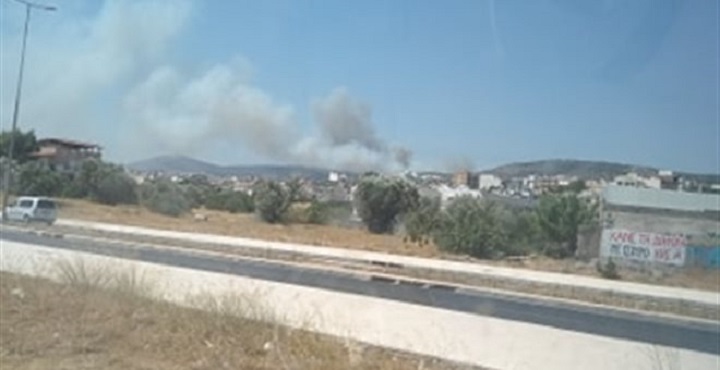 Πυρκαγιά στην περιφερειακή Αιγάλεω- επιχειρούν ισχυρές δυνάμεις της Πυροσβεστικής - Φωτογραφία 1