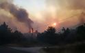 Φωτιά στη Σάμο: Μάχη με τις φλόγες - Εκκενώθηκαν ξενοδοχεία - Φωτογραφία 1