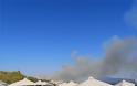 Φωτιά στη Σάμο: Μάχη με τις φλόγες - Εκκενώθηκαν ξενοδοχεία - Φωτογραφία 6