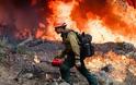 Αμαζόνιος: οι πυρκαγιές δε σβήνουν με τίποτα!