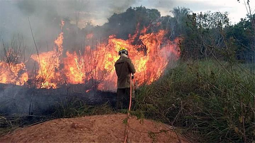 Φωτιές στον Αμαζόνιο: Ειδικά C-130 του στρατού στην μάχη με τις φλόγες - Φωτογραφία 3