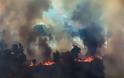 Φωτιές στον Αμαζόνιο: Ειδικά C-130 του στρατού στην μάχη με τις φλόγες - Φωτογραφία 2