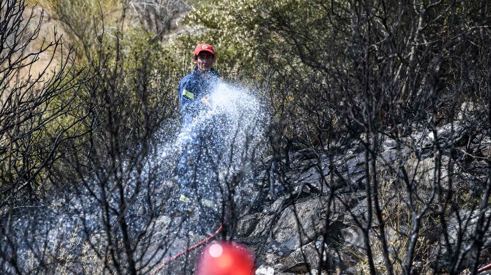 Μαραθώνας: Σε ύφεση η φωτιά σε δασική έκταση κοντά στο ελικοδρόμιο - Φωτογραφία 1