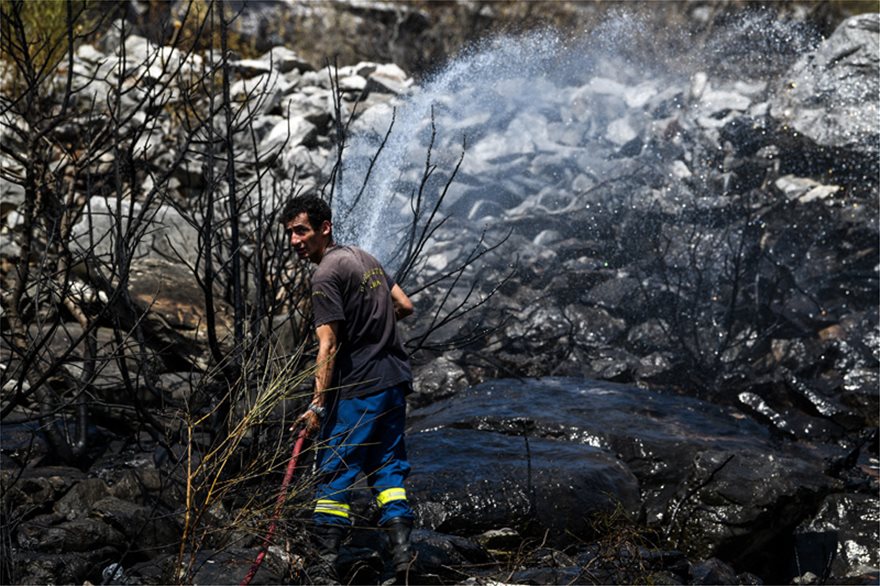Μαραθώνας: Σε ύφεση η φωτιά σε δασική έκταση κοντά στο ελικοδρόμιο - Φωτογραφία 5