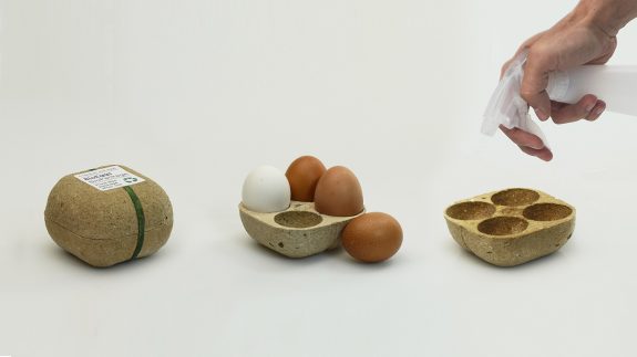 Ελληνική συσκευασία για αβγά που φυτεύεται και βλασταίνει - Φωτογραφία 1
