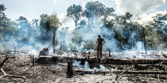Η Apple δεσμεύεται να δωρίσει ένα ποσό για τις πυρκαγιές στον Αμαζόνιο - Φωτογραφία 1