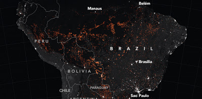 Αμαζόνιος: Το μέγεθος της καταστροφής όπως το αποτύπωσε η NASA - Φωτογραφία 1