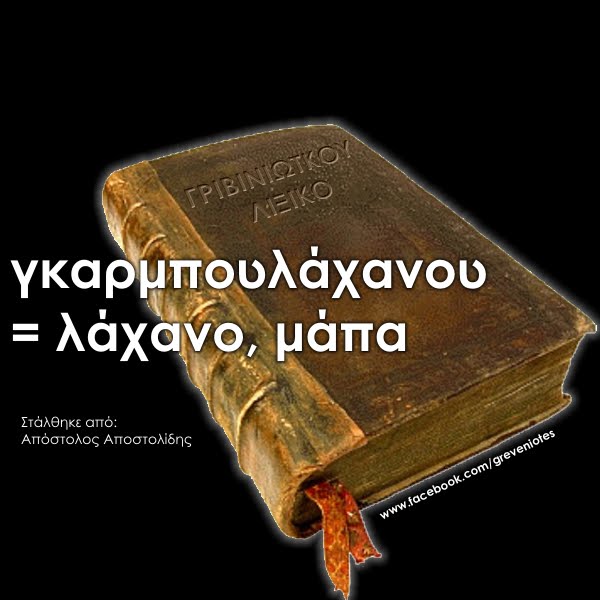 Το Λεξικό των παλαιών Γρεβενιώτικων! (4ο μέρος) - Φωτογραφία 7