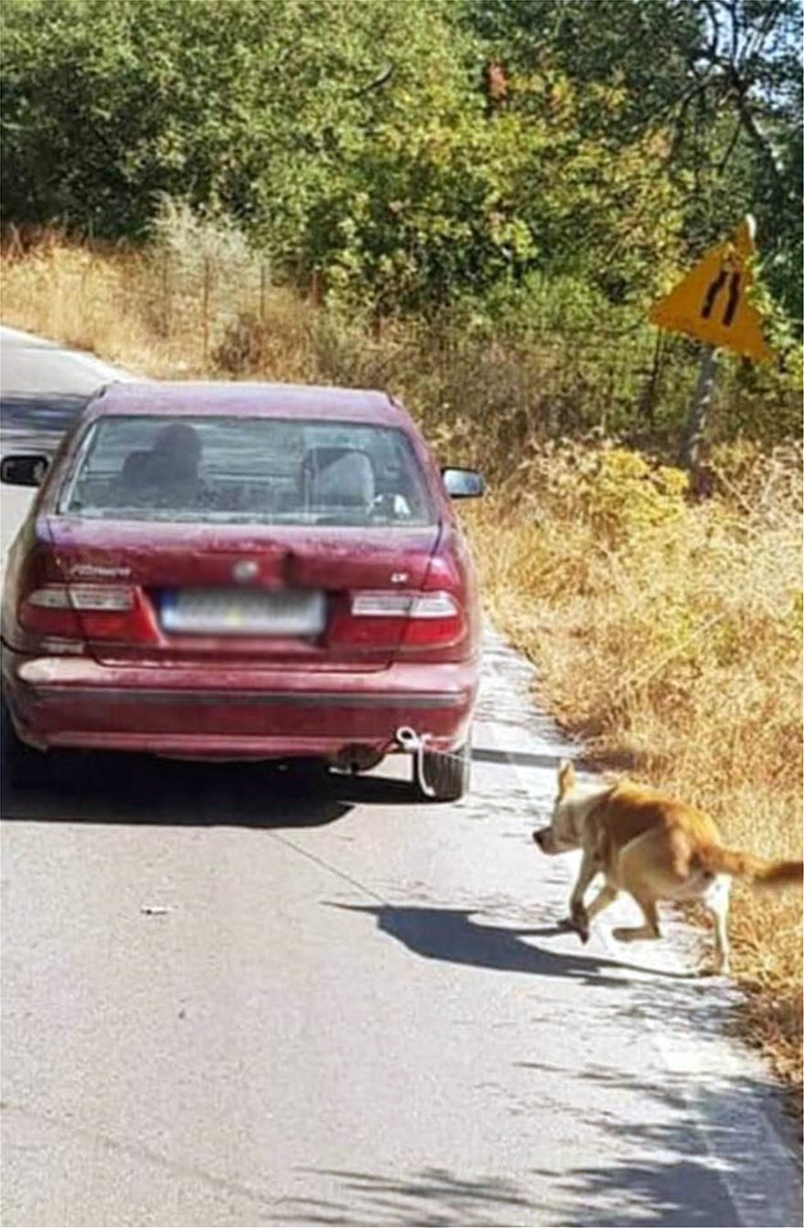 Έδεσε σκύλο από το λαιμό και τον τραβούσε με το αμάξι στον δρόμο - Φωτογραφία 2