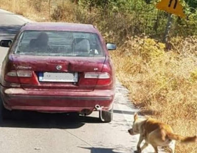 Βρέθηκε το αυτοκίνητο που είχαν δέσει σκύλο και τον έσερναν – Άφαντος ο οδηγός - Φωτογραφία 1