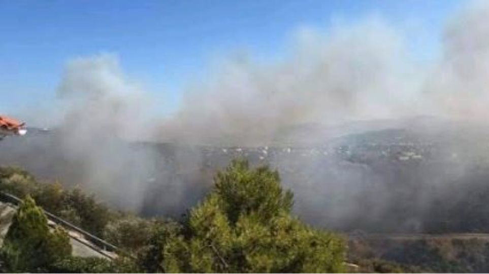 47 φωτιές μέσα σε 24 ώρες, πύρινο μέτωπο απείλησε σπίτια στην Πεντέλη Αρτέμιδα - Φωτογραφία 1