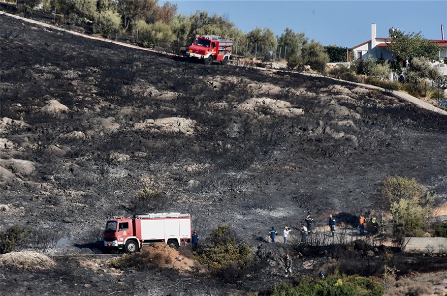 47 φωτιές μέσα σε 24 ώρες, πύρινο μέτωπο απείλησε σπίτια στην Πεντέλη Αρτέμιδα - Φωτογραφία 2