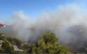 47 φωτιές μέσα σε 24 ώρες, πύρινο μέτωπο απείλησε σπίτια στην Πεντέλη Αρτέμιδα