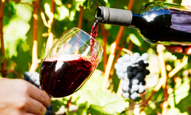 Κόκκινο κρασί: Πως επηρεάζει το έντερο και την υγεία - Φωτογραφία 1