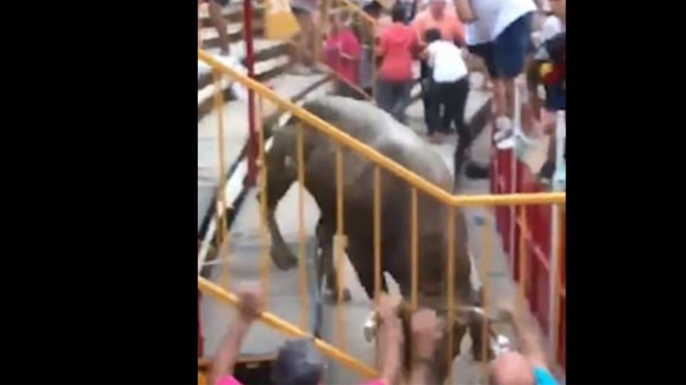 Ισπανία: Ο ταύρος ανέβηκε στις κερκίδες και τραυμάτισε 19 - Φωτογραφία 1