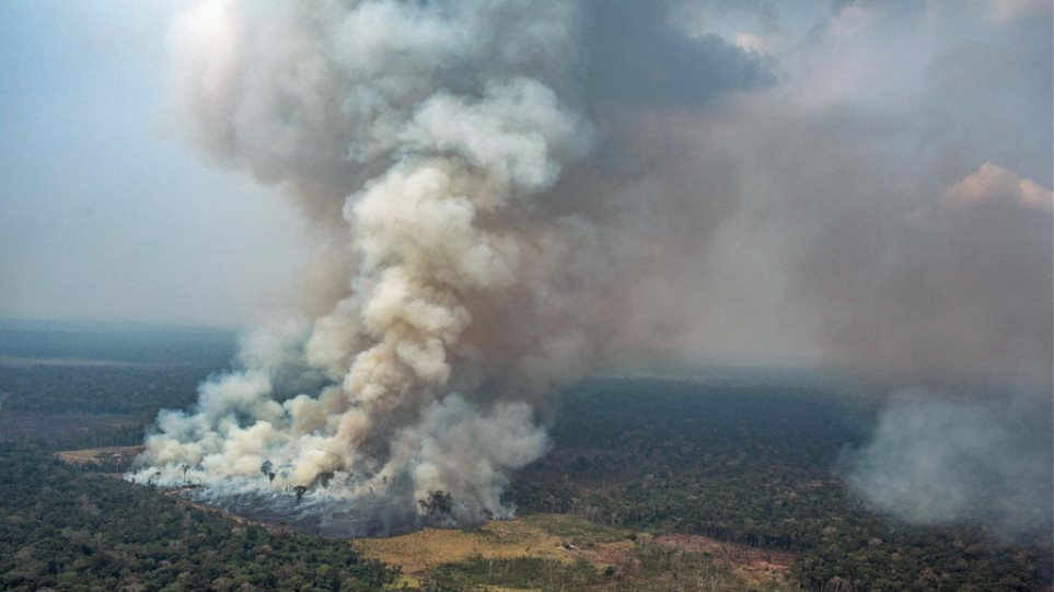 Ποιοι επωφελούνται από την καταστροφή του δάσους του Αμαζονίου; - Φωτογραφία 1