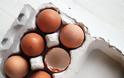 Γιατί πρέπει να έχεις στη διατροφή σου την εβδομάδα τουλάχιστον 2 με 3 αυγά;