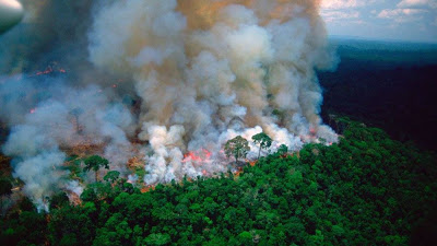 Ποιοι και πώς επωφελούνται από την καταστροφή του δάσους στον Αμαζόνιο - Φωτογραφία 1