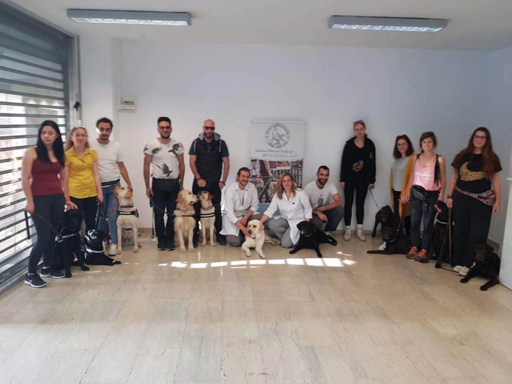 Γνωριμία με το Ελληνικό Κέντρο Εκπαίδευσης και Ανάπτυξης Σκύλων Οδηγών και Κινητικότητας Τυφλών και Σκύλων Βοηθών για Άτομα με Αναπηρίες - Φωτογραφία 2