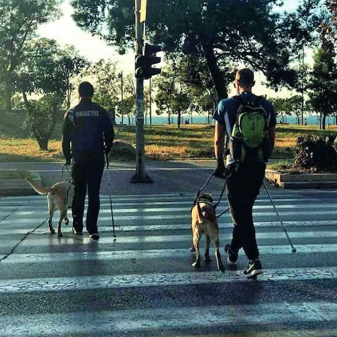 Γνωριμία με το Ελληνικό Κέντρο Εκπαίδευσης και Ανάπτυξης Σκύλων Οδηγών και Κινητικότητας Τυφλών και Σκύλων Βοηθών για Άτομα με Αναπηρίες - Φωτογραφία 3