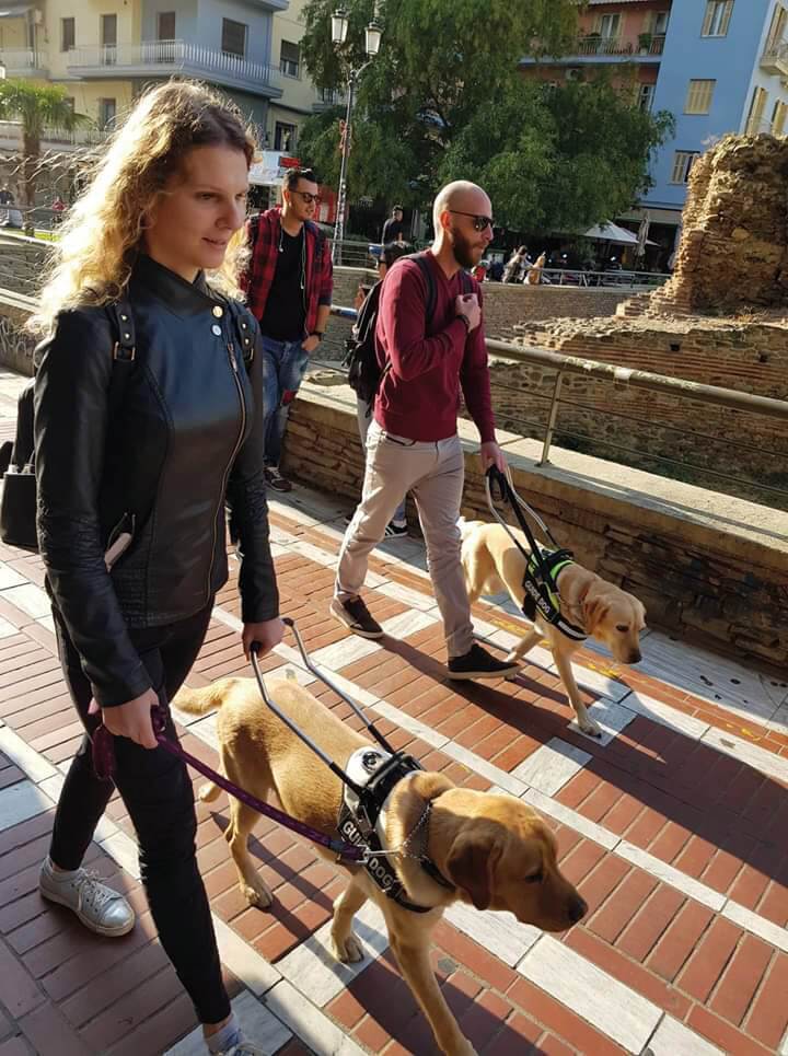 Γνωριμία με το Ελληνικό Κέντρο Εκπαίδευσης και Ανάπτυξης Σκύλων Οδηγών και Κινητικότητας Τυφλών και Σκύλων Βοηθών για Άτομα με Αναπηρίες - Φωτογραφία 4
