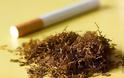 ΚΑΤΟΥΝΑ: έφοδος αστυνομικών σε οικία αποκάλυψε… 200 γραμμάρια καπνού!!