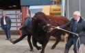 Ο Μπόρις Τζόνσον... προσπαθεί «να πιάσει τον ταύρο από τα κέρατα»