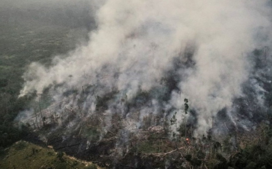 Σύμφωνο για την προστασία του τροπικού δάσους και τον συντονισμό αντιμέτωπισης φυσικών καταστροφών από 7 χώρες της Αμαζονίας - Φωτογραφία 1