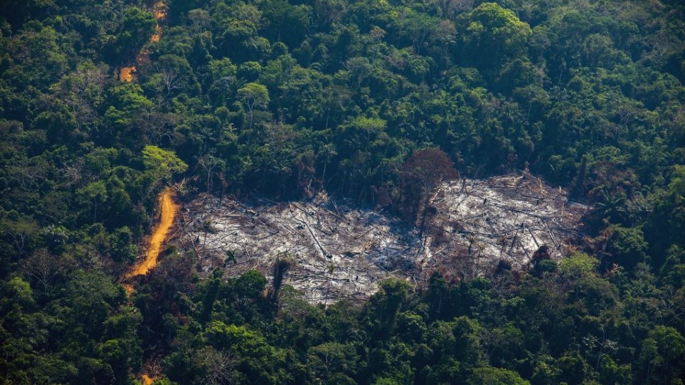 Αμαζόνιος: Τρομακτική η αύξηση της αποψίλωσης - Φωτογραφία 1