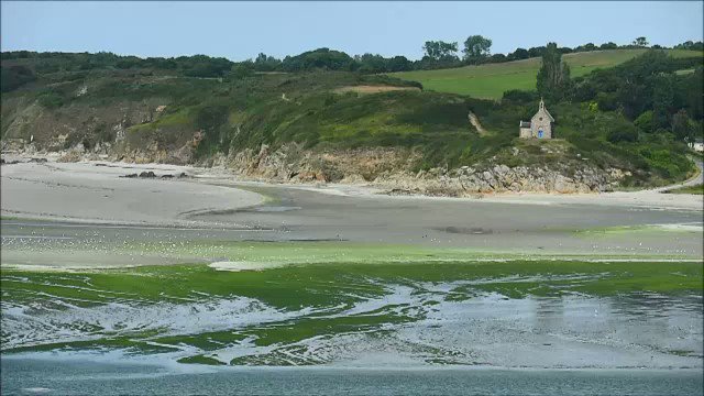 Επικίνδυνο φύκι ξεβράζεται στις ακτές της Γαλλίας: «Μπορεί να σκοτώσει μέσα σε λίγα δευτερόλεπτα» - Φωτογραφία 2
