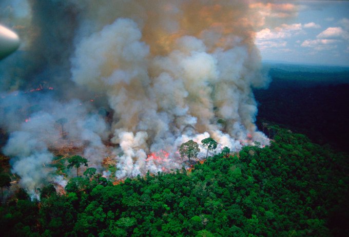 Το σημαντικό λάθος με τον Αμαζόνιο και το οξυγόνο της γης - Φωτογραφία 2