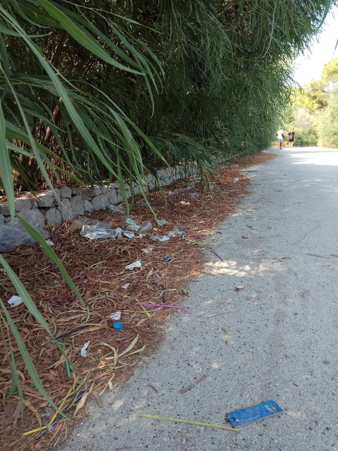 Εικόνες ντροπής και εγκατάλειψης με σκουπίδια στο νησί μας - φώτος - Φωτογραφία 8
