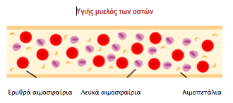 Αιματολογική Κακοήθεια δεν είναι μόνο η λευχαιμία! Ενημερώσου για τα Μυελοϋπερπλαστικά Νεοπλάσματα (MPNs) - Φωτογραφία 3