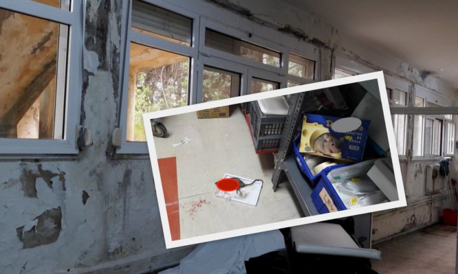 Φρίκη! Ποντίκια στο νοσοκομείο Κιλκίς – Απομακρύνθηκαν οι ασθενείς από τους θαλάμους - Φωτογραφία 1
