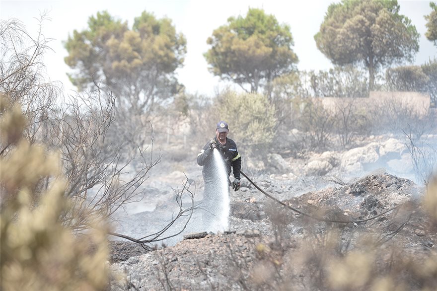 Σε ύφεση η φωτιά στο Λαγονήσι - Επιστρέφουν στα σπίτια τους οι κάτοικοι - Φωτογραφία 10