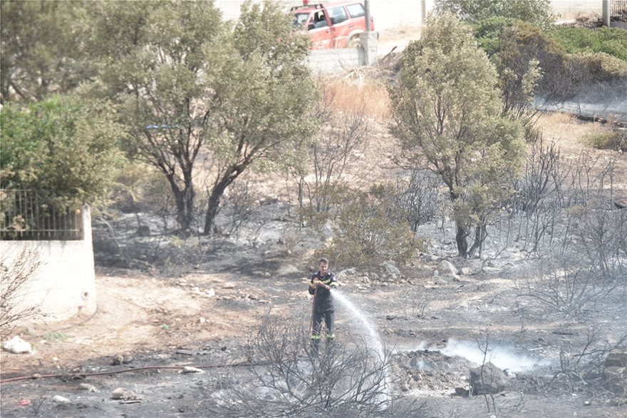 Σε ύφεση η φωτιά στο Λαγονήσι - Επιστρέφουν στα σπίτια τους οι κάτοικοι - Φωτογραφία 8