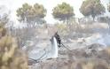 Σε ύφεση η φωτιά στο Λαγονήσι - Επιστρέφουν στα σπίτια τους οι κάτοικοι - Φωτογραφία 10