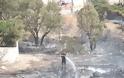Σε ύφεση η φωτιά στο Λαγονήσι - Επιστρέφουν στα σπίτια τους οι κάτοικοι - Φωτογραφία 8