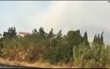 Ολονύχτια μάχη με τις φλόγες στο Λουτράκ - Φωτογραφία 11
