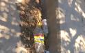 Έλλειψη καθαριότητας στον Άι Γιάννη στις Καλυθιές - φώτος - Φωτογραφία 6