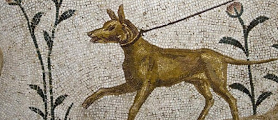 Ποια ονόματα έδιναν στα σκυλιά τους οι αρχαίοι Έλληνες; - Φωτογραφία 1