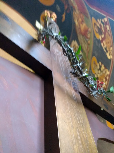 Άνθισε το ακάνθινο στεφάνι του Εσταυρωμένου σε Ιερό Ναό Ταξιαρχών της Άρτας - (ΔΕΙΤΕ ΦΩΤΟ) - Φωτογραφία 2