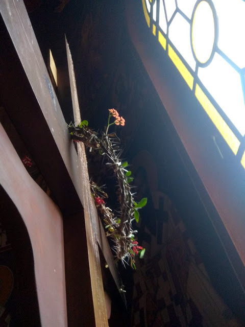 Άνθισε το ακάνθινο στεφάνι του Εσταυρωμένου σε Ιερό Ναό Ταξιαρχών της Άρτας - (ΔΕΙΤΕ ΦΩΤΟ) - Φωτογραφία 4