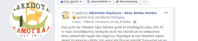 ΠΑΛΑΙΡΟΣ: Σκύλος εντοπίστηκε δεμένος με σχοινιά που ήταν θηλιά γύρω απο το λαιμό του!! - Φωτογραφία 3